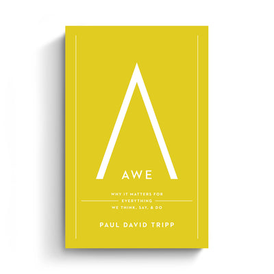 Awe: Why It Matters for Everything We Think, Say, and Do (Hardcover Book)