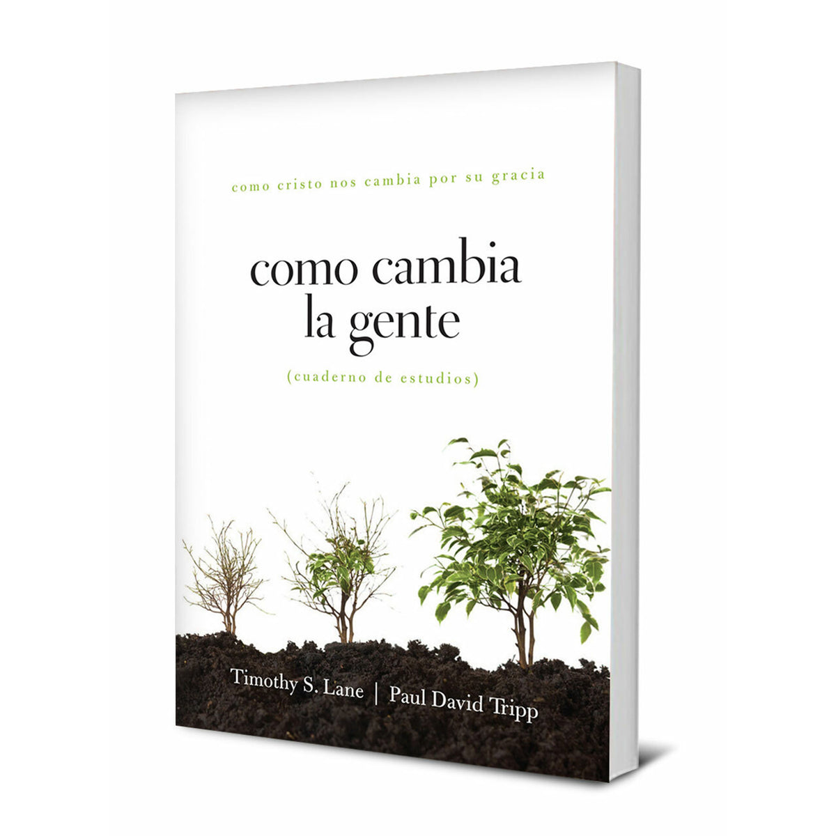 Como Cambia La Gente Cuaderno De Estudios (How People Change Study ...