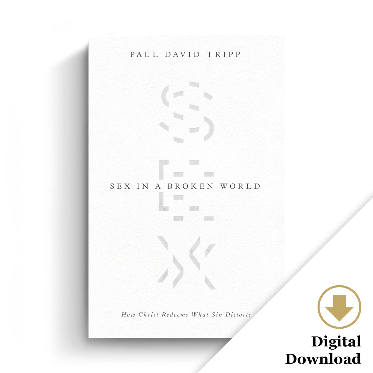 Sex in a Broken World: How Christ Redeems What Sin Distorts (eBook) - Paul  David Tripp - PaulTripp.com – Paul Tripp Ministries, Inc.