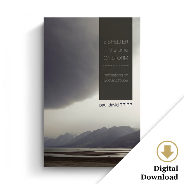 A Shelter in the Time of Storm Meditations on God and Trouble Paul David