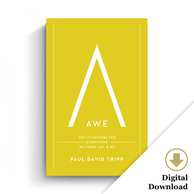 Awe: Why It Matters for Everything We Think, Say, and Do (eBook)