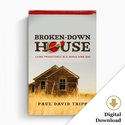 Broken Down House: Living Productively in a World Gone Bad (eBook)
