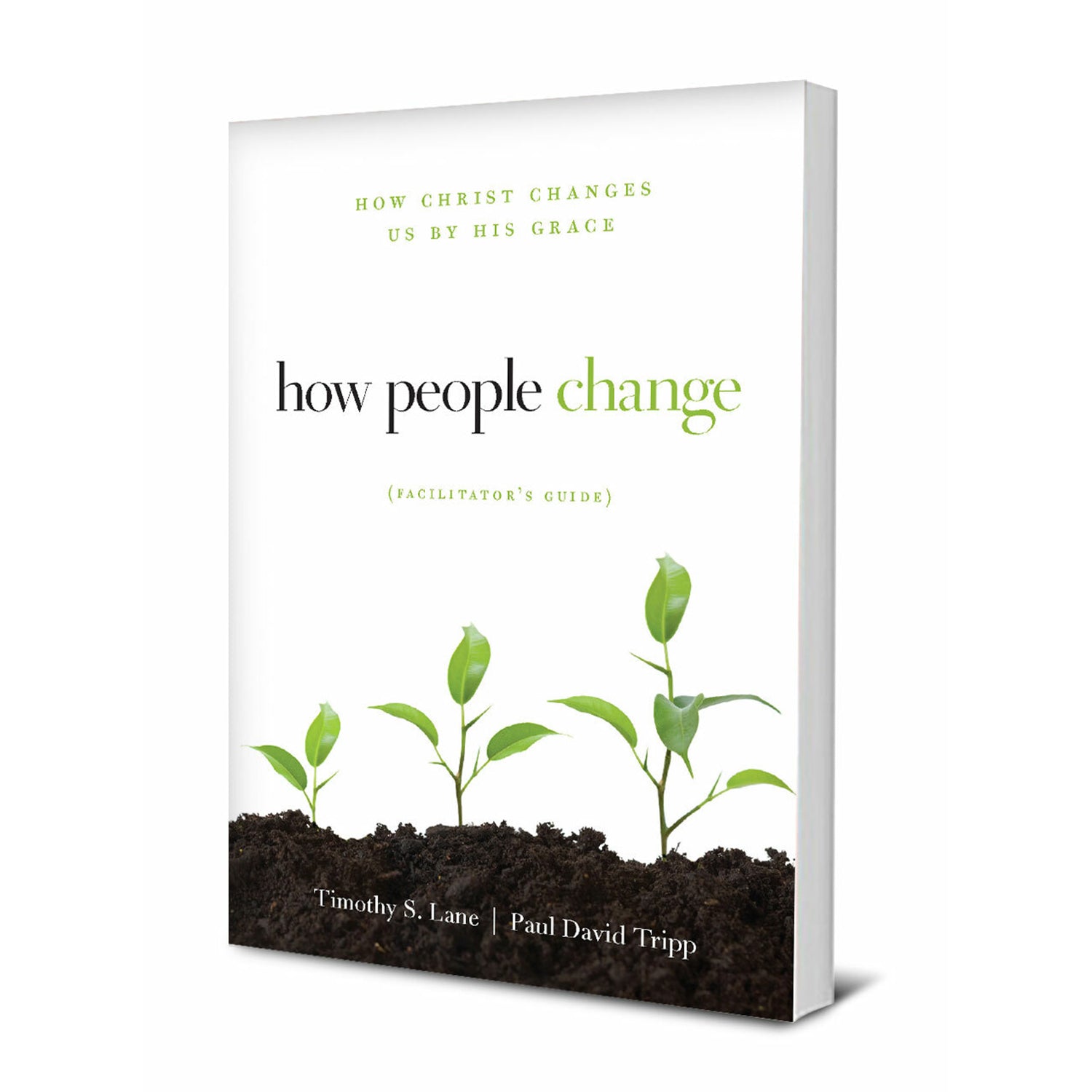 How People Change (Facilitator's Guide for Video Seminar) Paul David