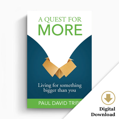 A Quest for More: Living for Something Bigger than You (eBook)