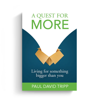 A Quest for More: Living for Something Bigger than You (Paperback Book)